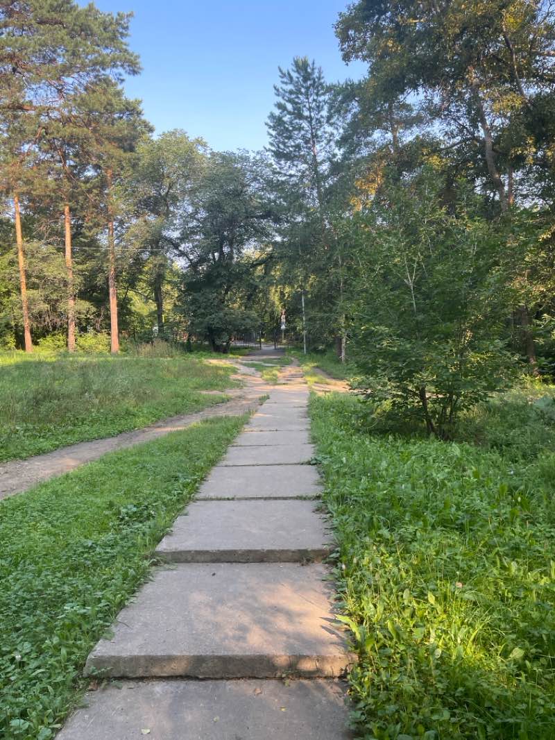 walking near me in Парк Инициативной молодёжи in winter