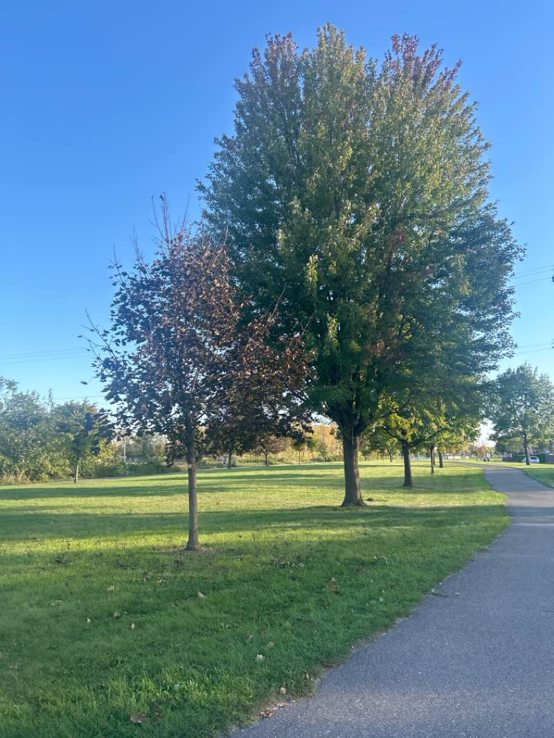 walking near me in Council Point Park in winter
