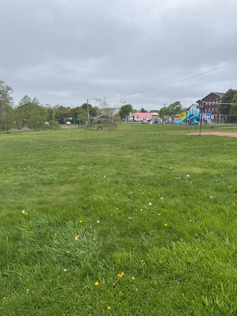 walking near me in Frank Macauley Park in summer