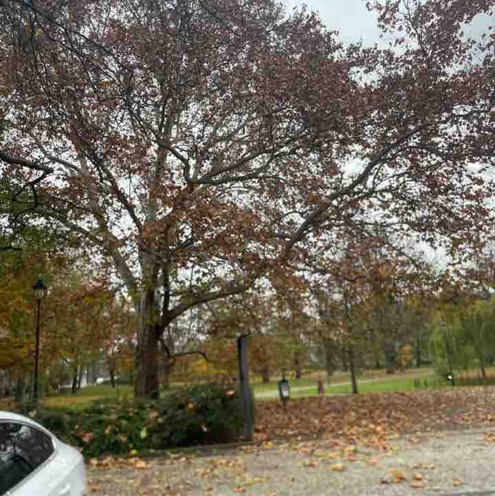 nelinka.zampachova post 2