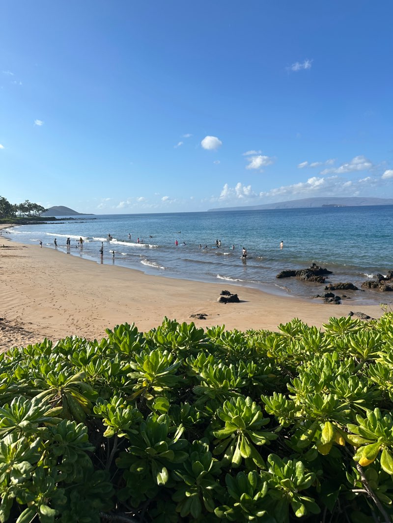 walking near me in Polo Beach Park in winter