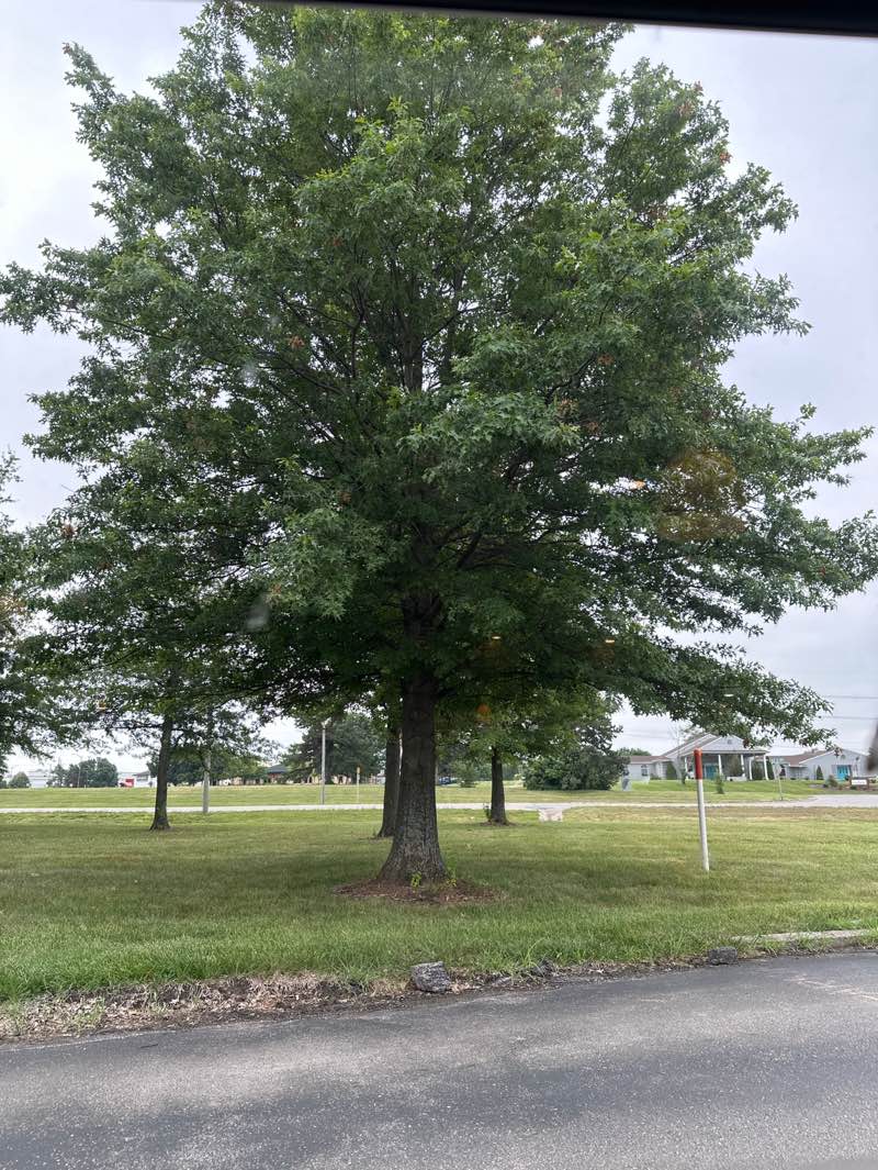 walking near me in Olathe Veterans Memorial in summer
