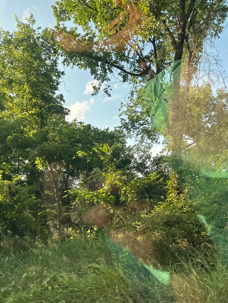 walking near me in Cedar Niles Park in autumn