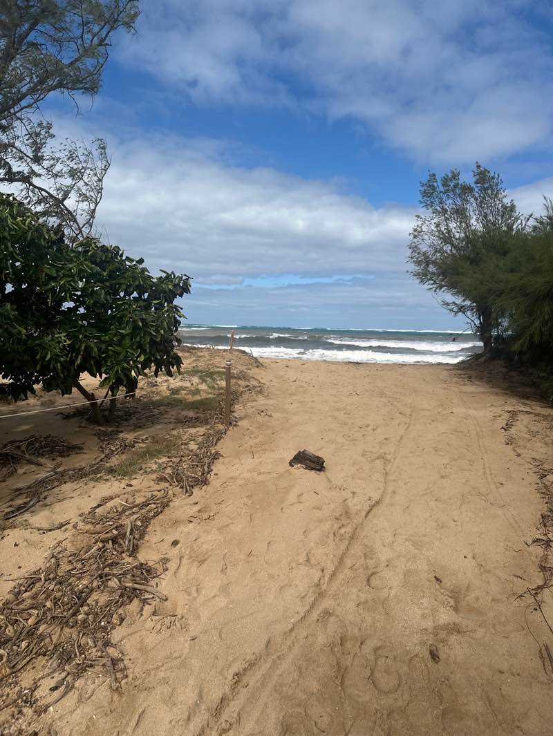 walking near me in Lower Paia Park in winter