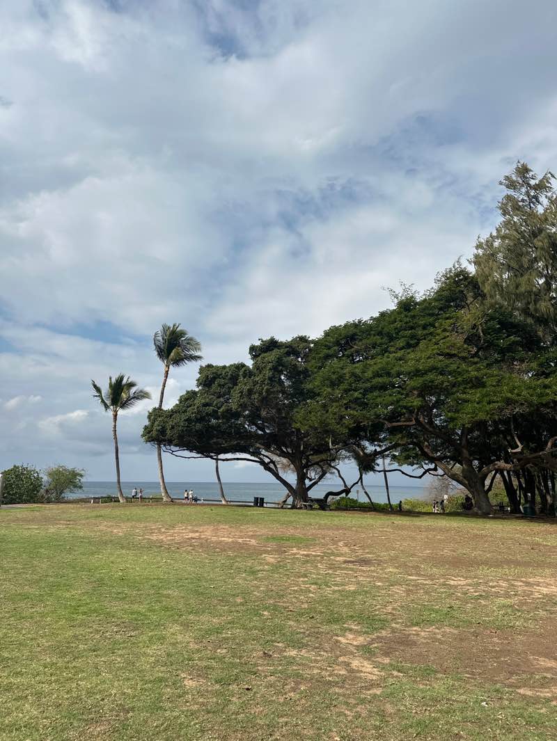 walking near me in Kamaole Park II in winter