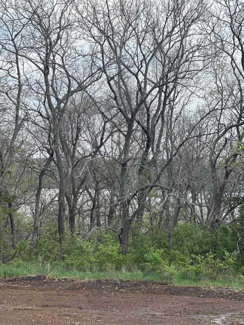 walking near me in Lake Olathe in spring