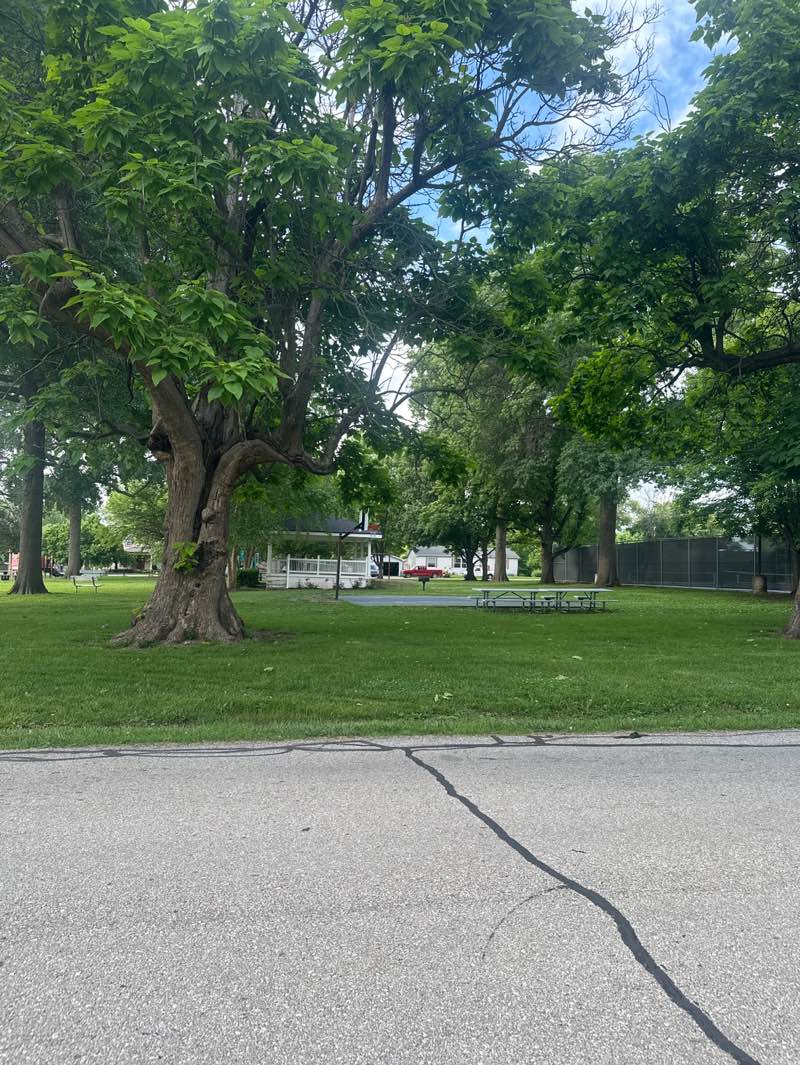 walking near me in City Park in summer