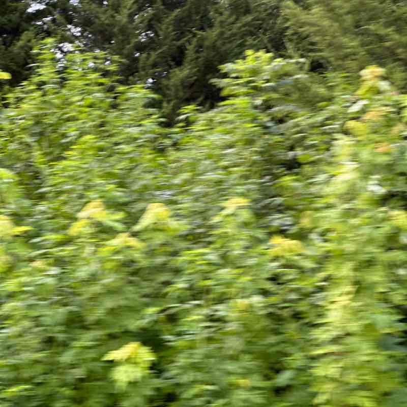 tim.edwards post 1