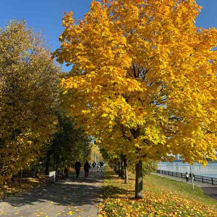 WALK WITH PLEASURE ☀️🍃🌈🍂⭐️ Марина post image