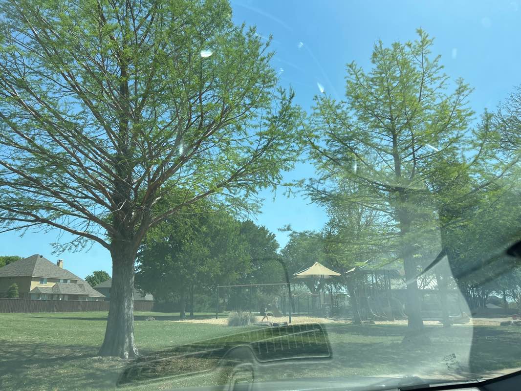 walking near me in Mustang Park in spring