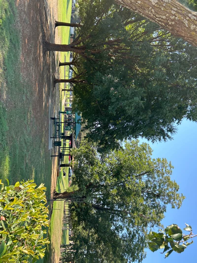 walking near me in Meadow Oaks Park in autumn