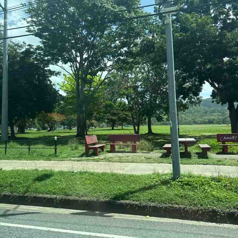 Roslyn post 1