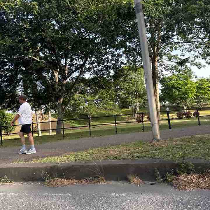 Roslyn post 1