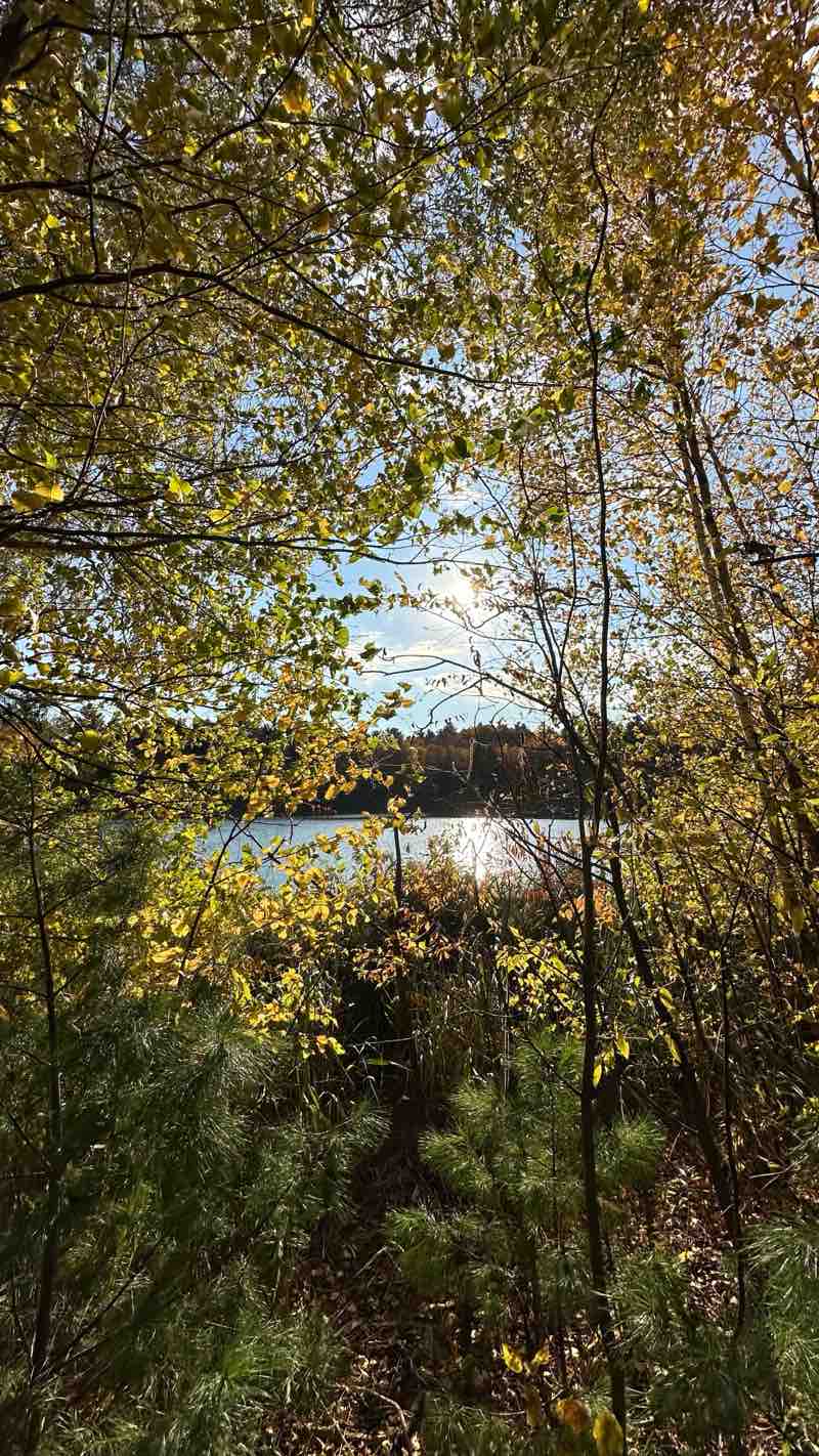 walking near me in Parc Ivor-McLeod in winter