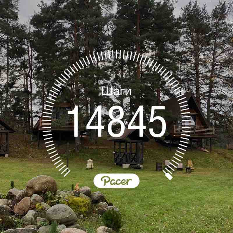 Движение - жизнь! 👣 ☘️🤍СветланКа🤍☘️ post image