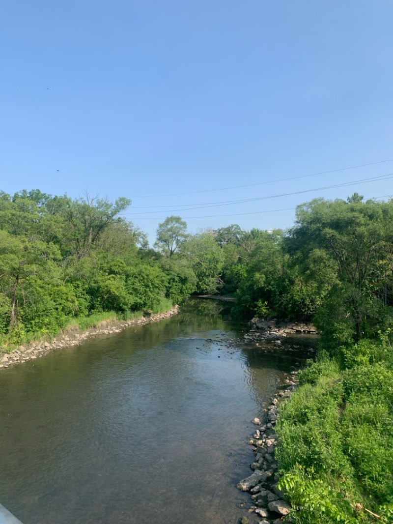 walking near me in Wild Meadows Trace in summer