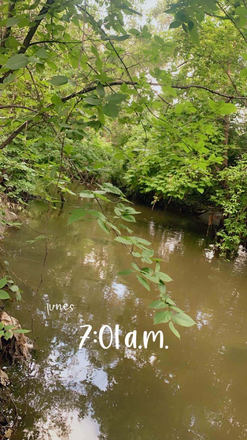 walking near me in Bataan Park in summer