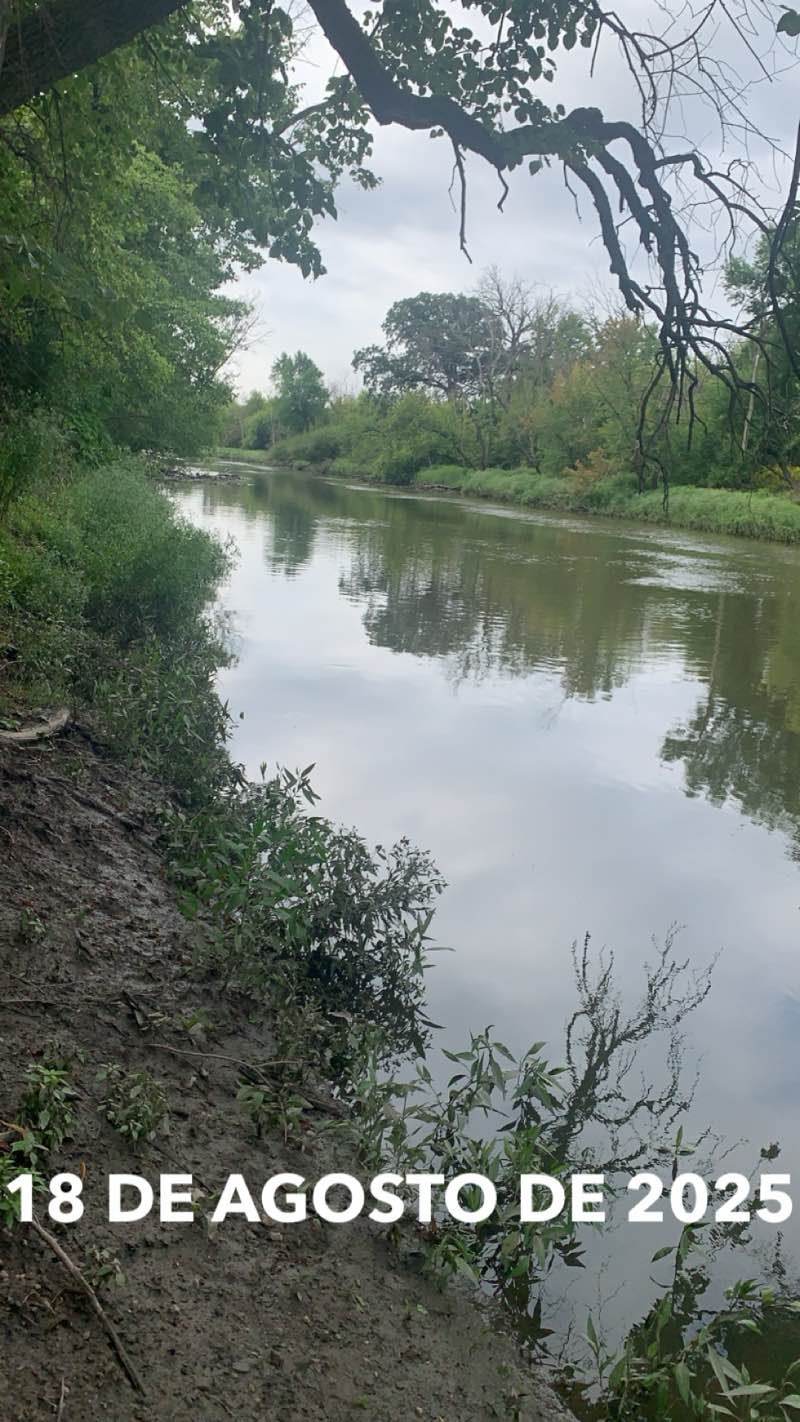 walking near me in Fullerton Woods in autumn