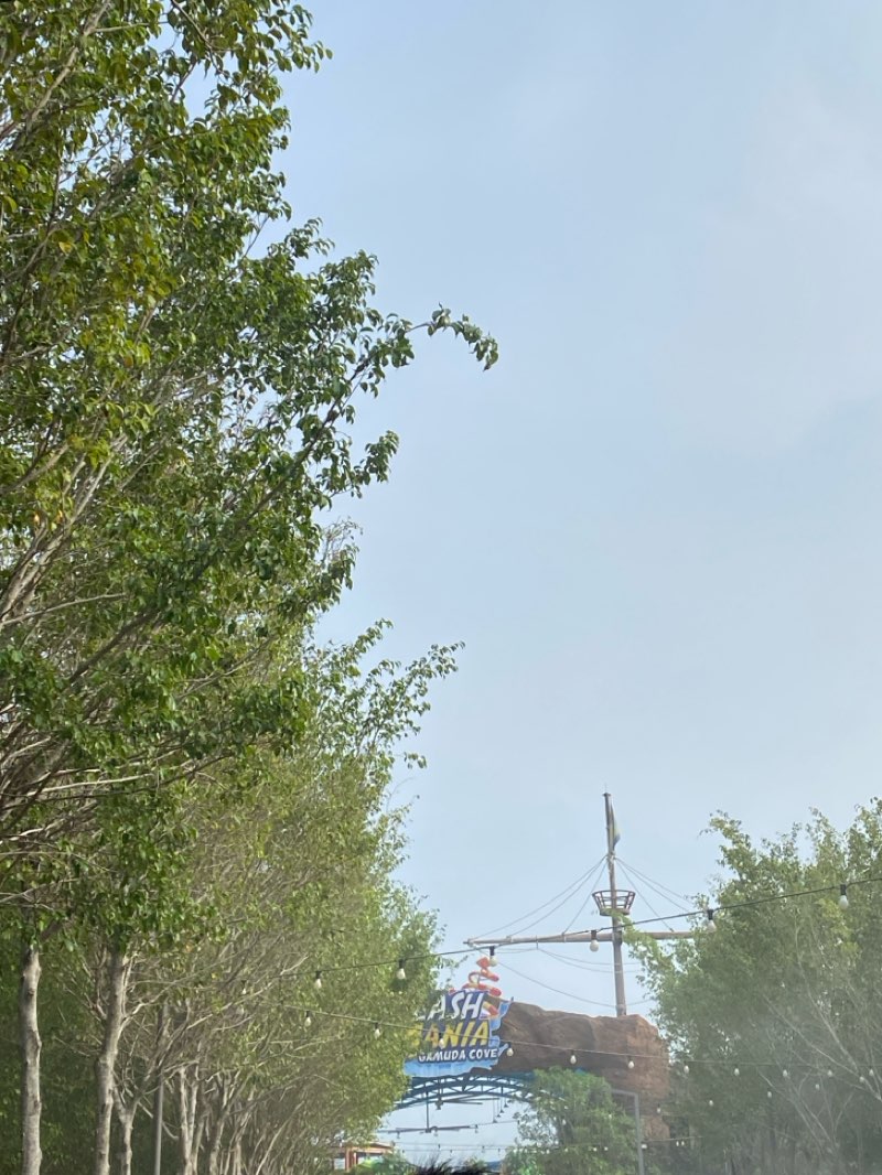 walking near me in Central Park in spring