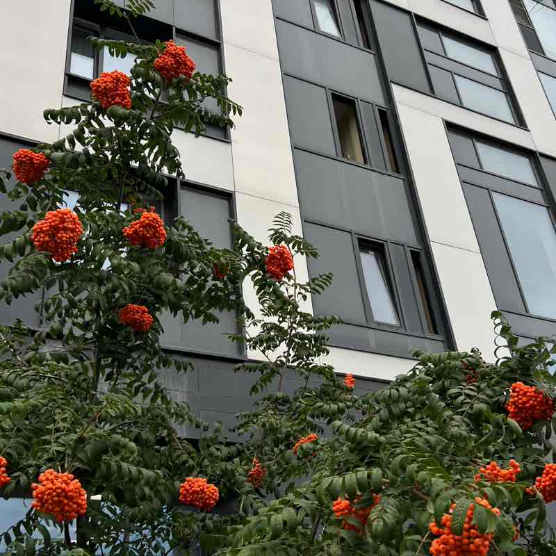 Health & Beauty 🌱🪻 Екатерина 🌱🪻 post image