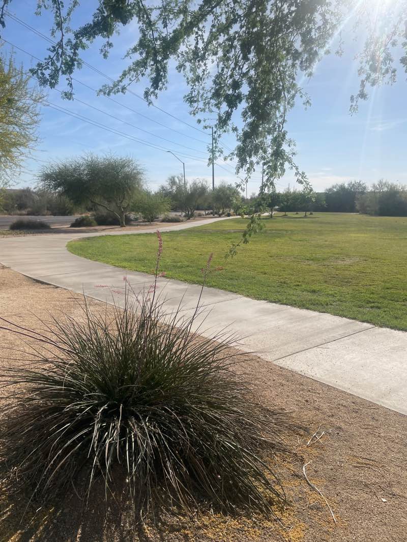 walking near me in Dynamite Park in spring