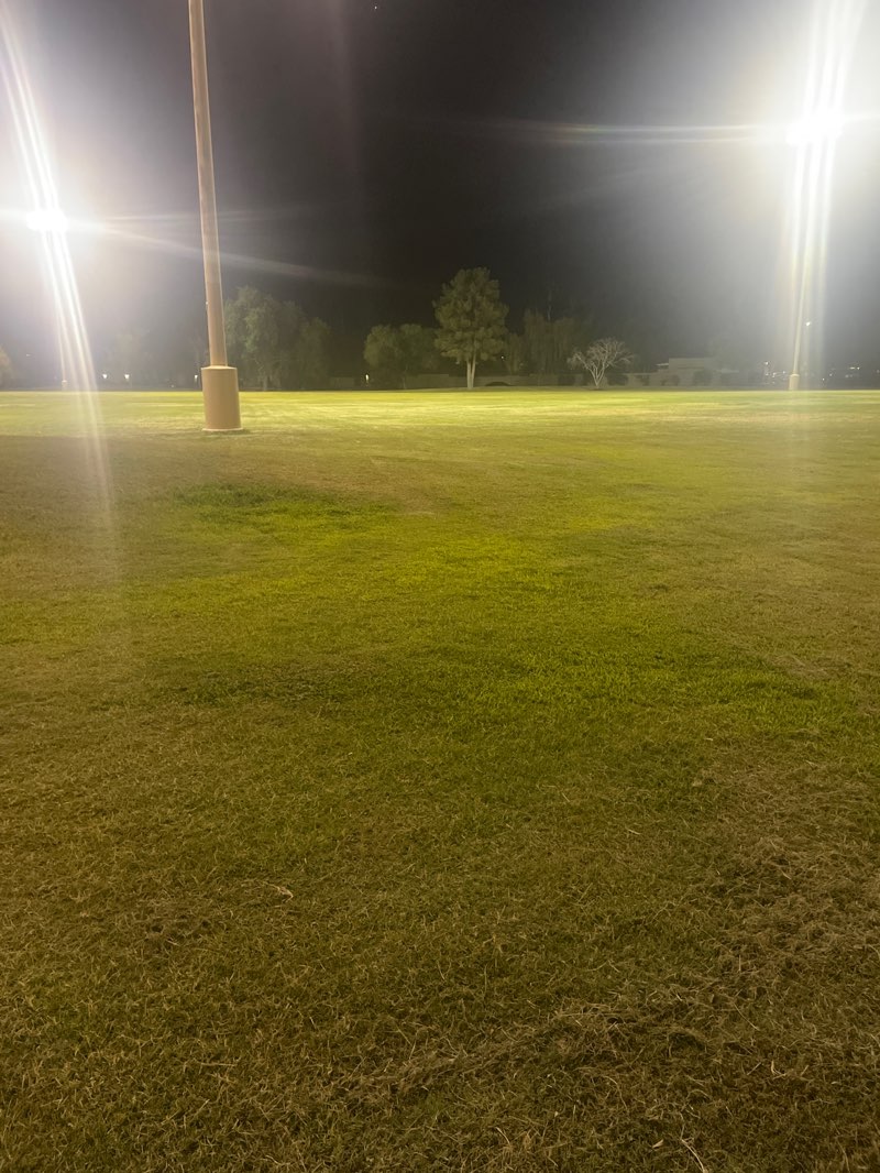 walking near me in Desert Horizon Park in autumn