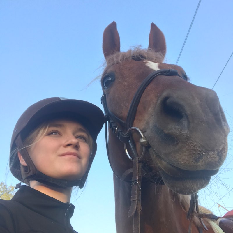 Алёна🐎 profile