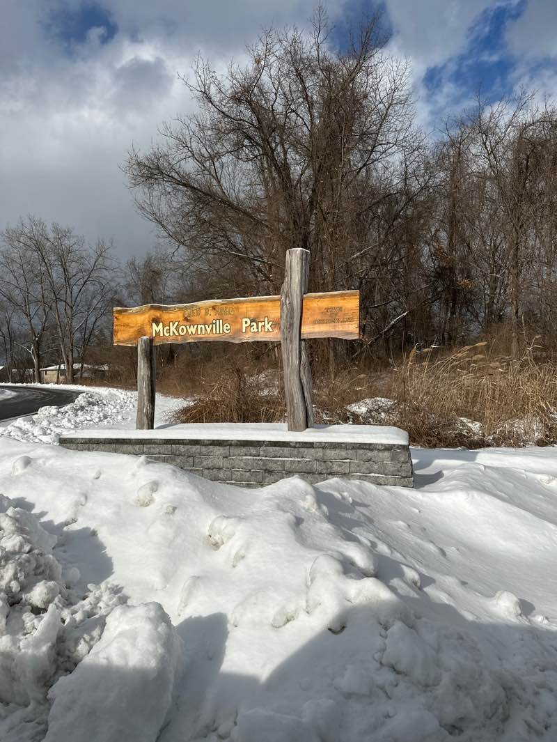 walking near me in McKownville Park in winter
