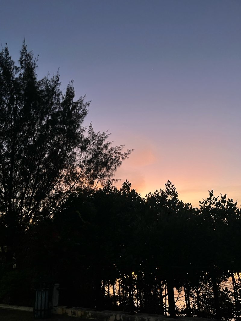walking near me in Iloilo River Esplanade in spring