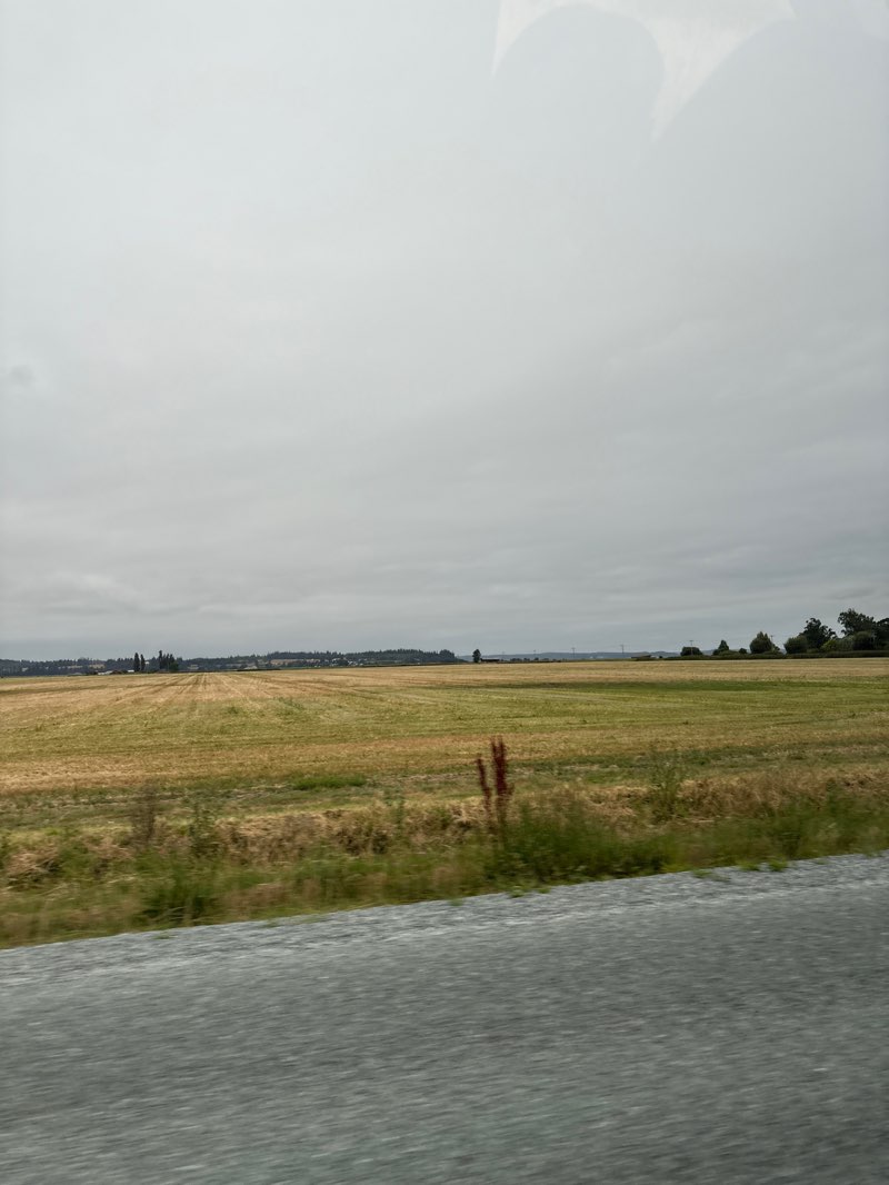 walking near me in Samish River Wildlife Area in autumn