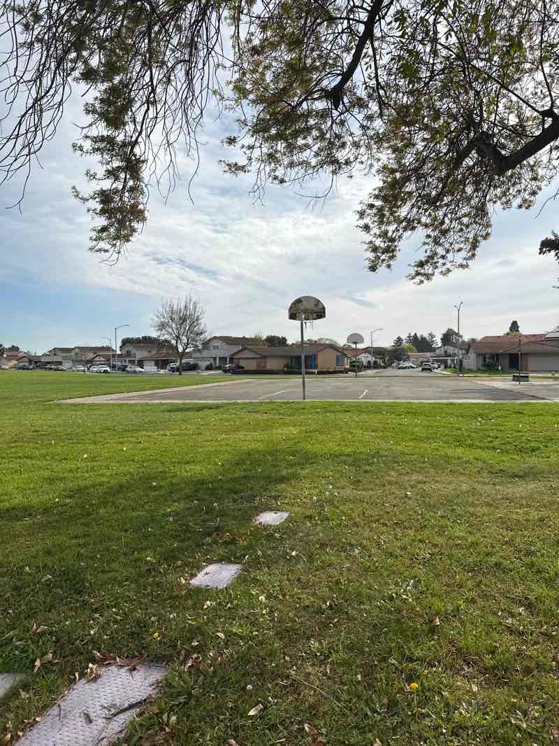 walking near me in Penke Park in winter