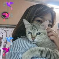 พี่ Apple🍎 profile