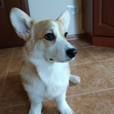 Ходьба👟 DANIEL post image