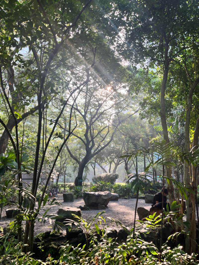 walking near me in Makati Park in autumn