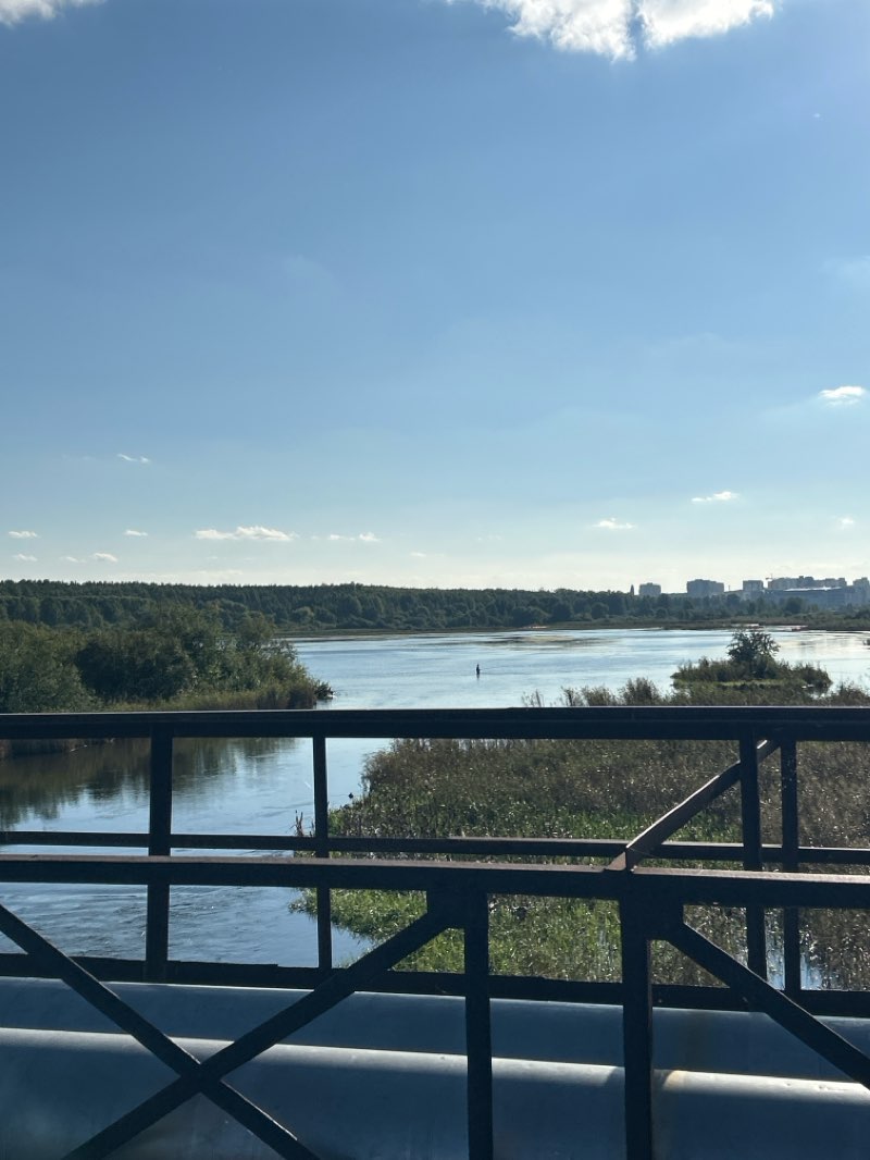 walking near me in Алое поле in winter