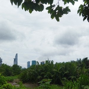 Đội 4 - Thùy Linh profile