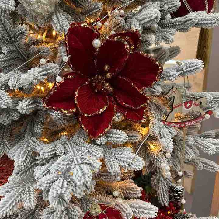 ✨ 🐠 Таша 🐠 ✨ post 1