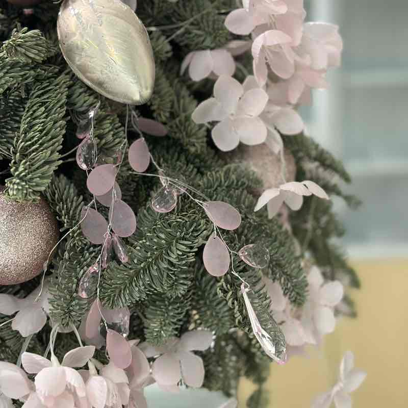 ✨ 🐠 Таша 🐠 ✨ post 2