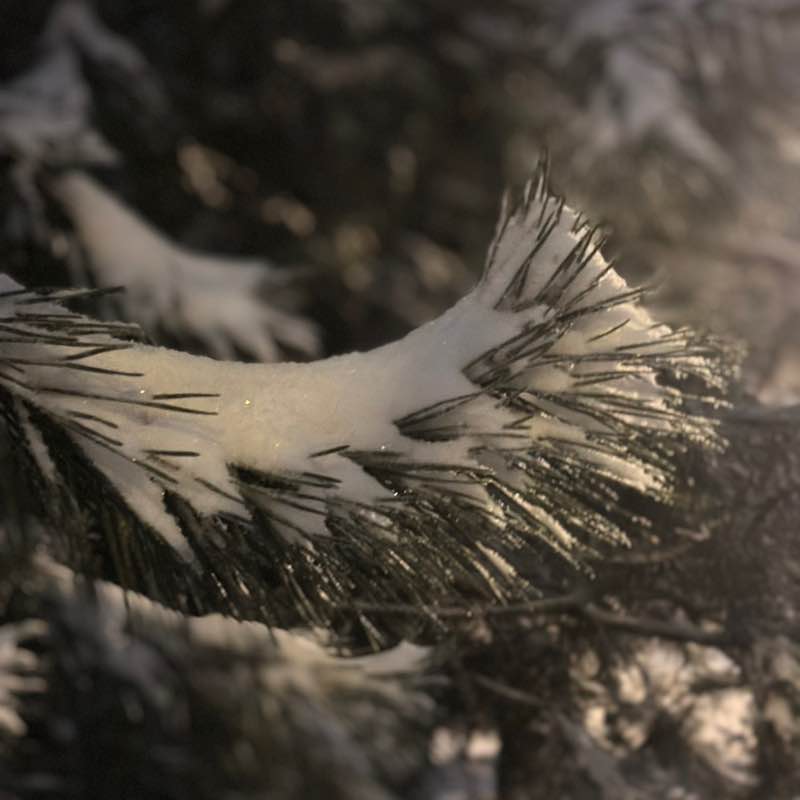 ✨ 🐠 Таша 🐠 ✨ post 3