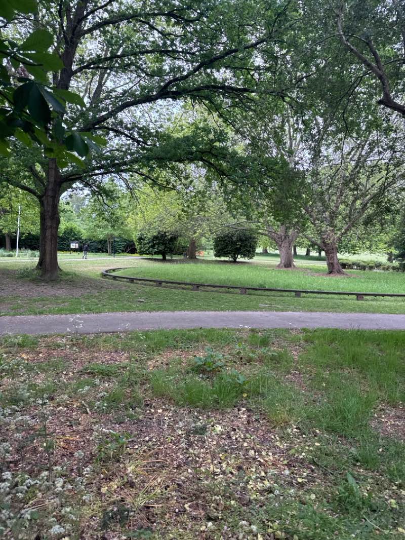 walking near me in Three Bridges Playing Field in spring