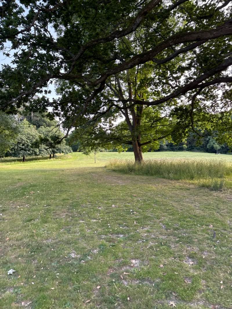 walking near me in Goff's Park in summer