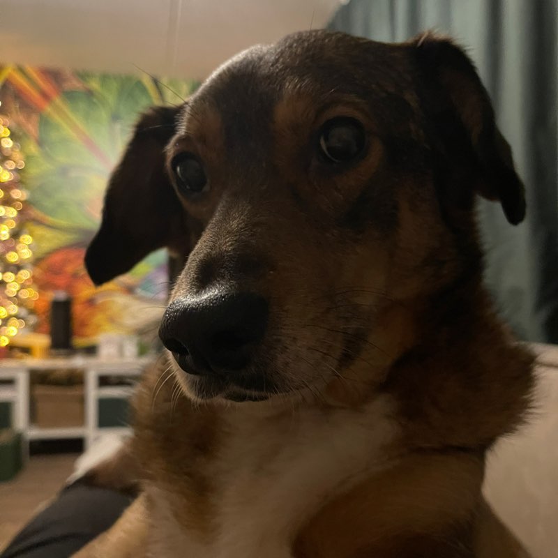 Het groene 💚 van Nederland Elsie De Waal post image