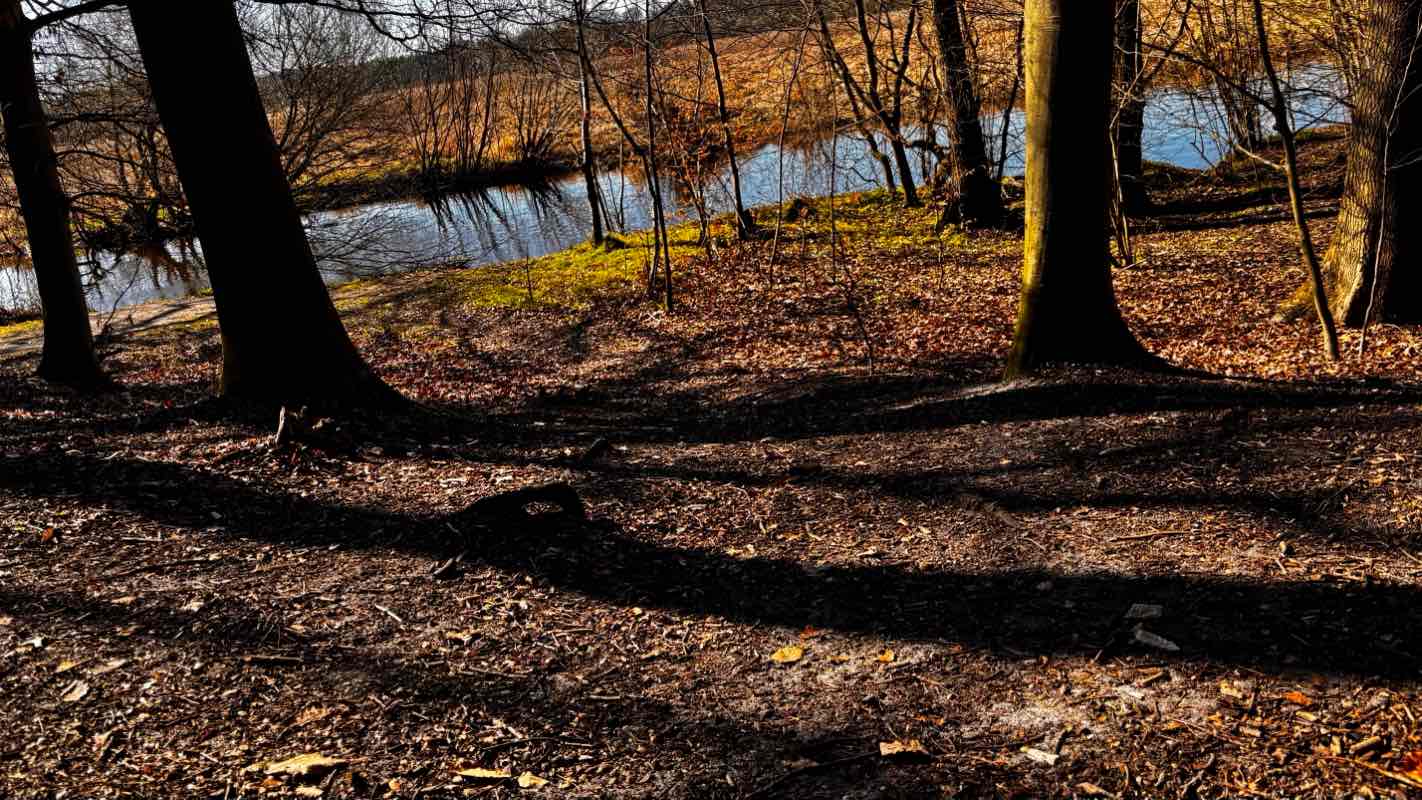 walking near me in Clamart-Park in spring