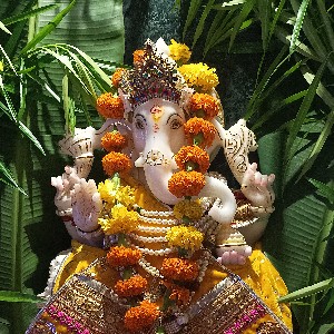 Gaurang Trivedi profile