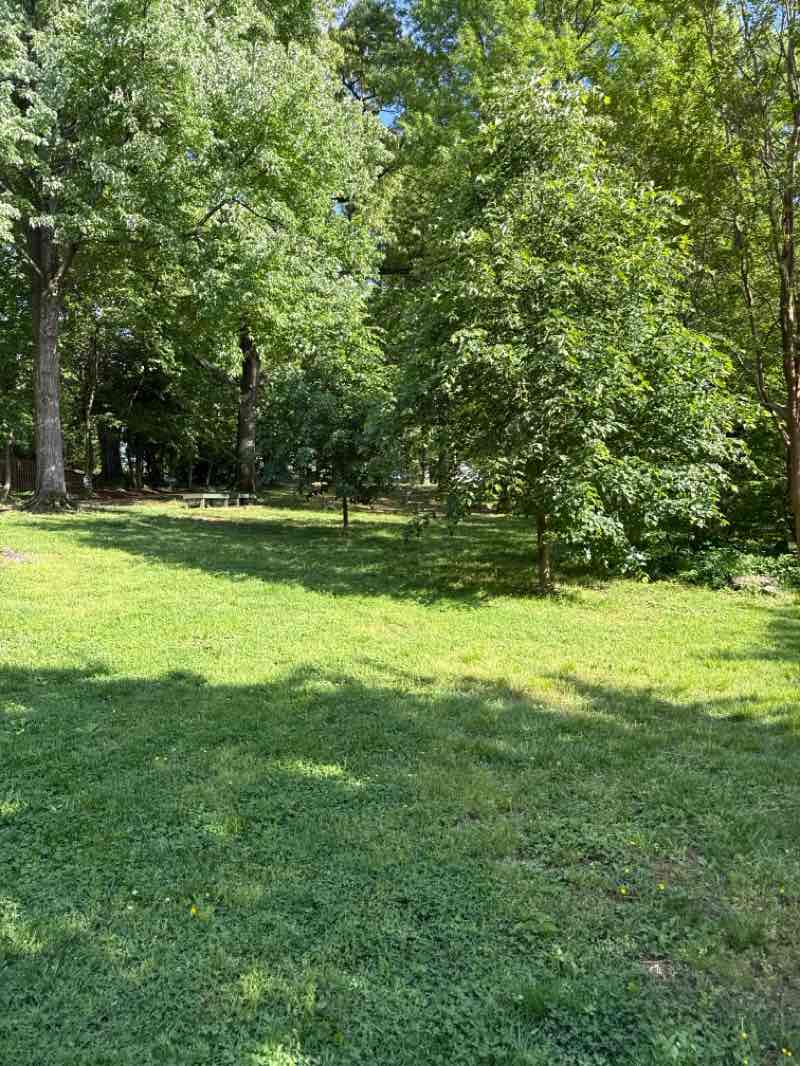 walking near me in Newlands Park in spring