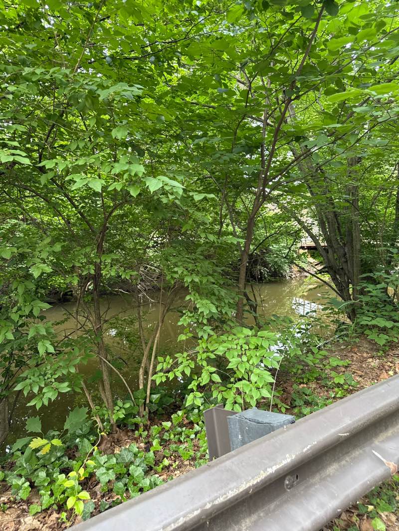 walking near me in Meadowbrook Local Park in summer
