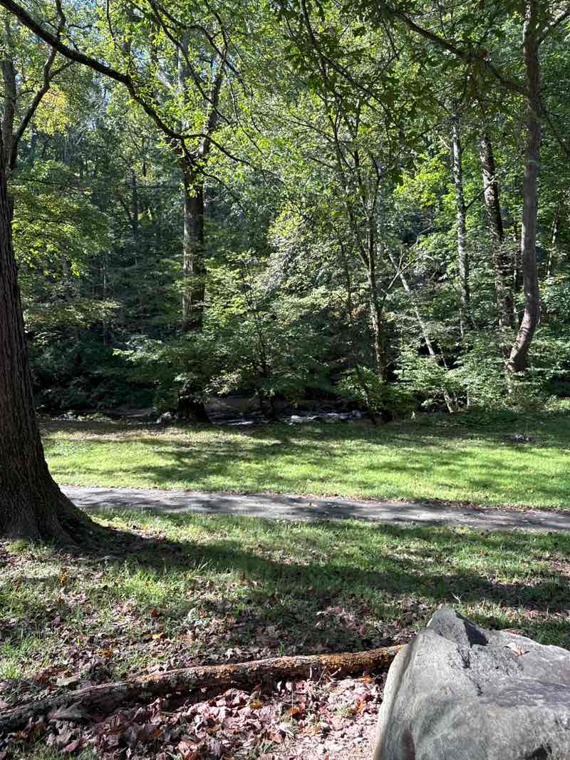 walking near me in Rock Creek Park and Piney Branch Parkway in autumn