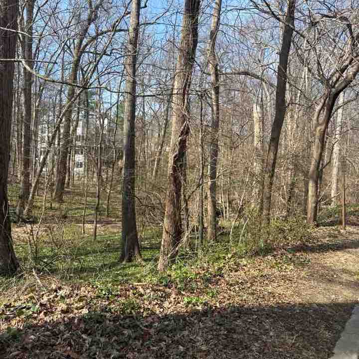 Dustin🏳️‍🌈 post 1