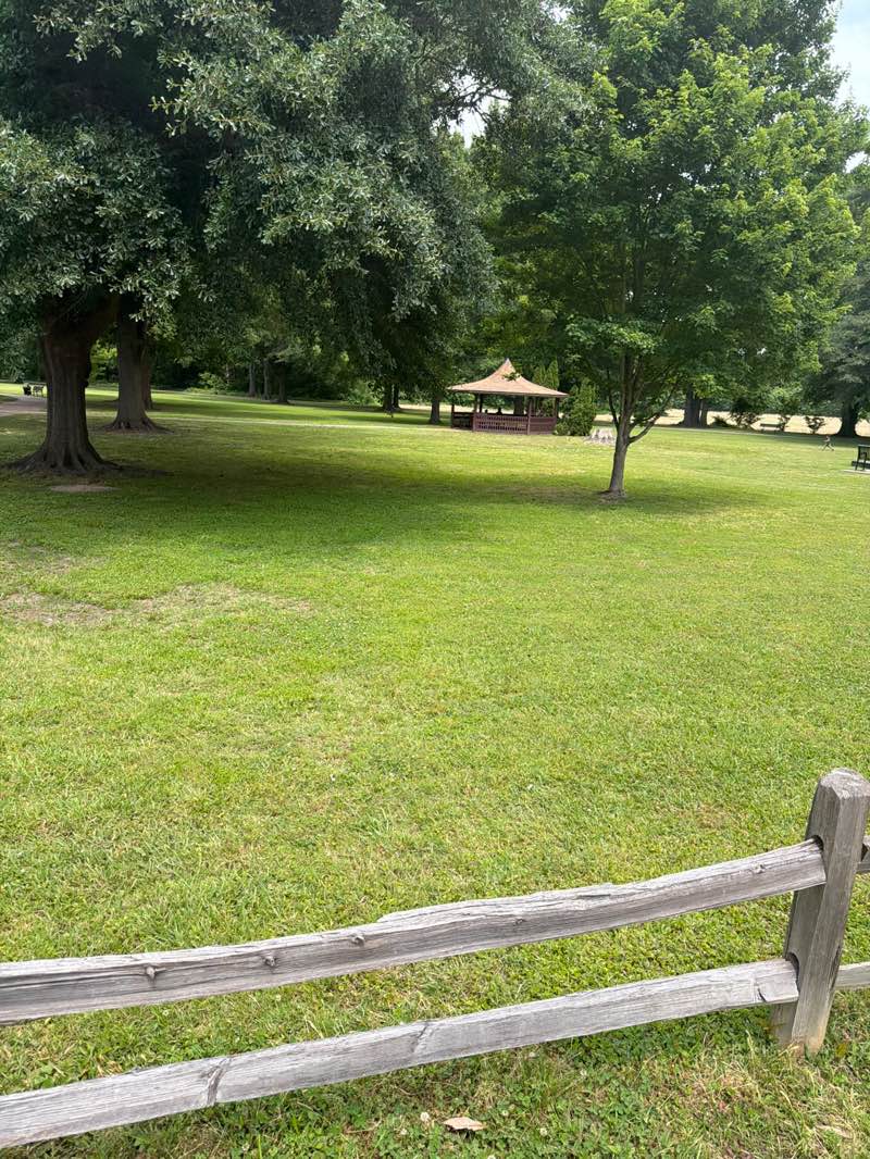 walking near me in Aycock Park in spring