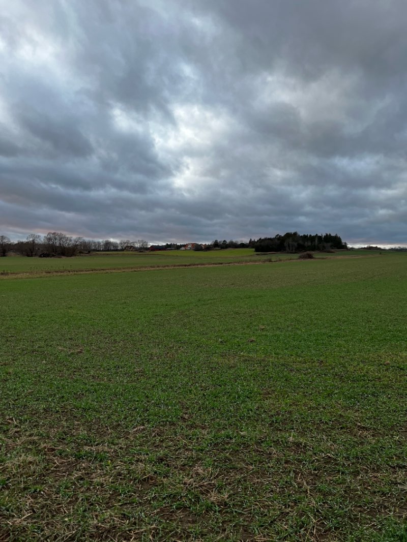 walking near me in Flogstaparken in winter